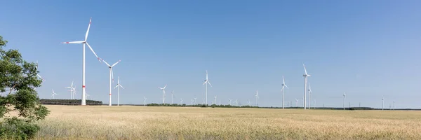 Energie Windturbines Achter Een Cornfield Onder Blauwe Hemel — Stockfoto