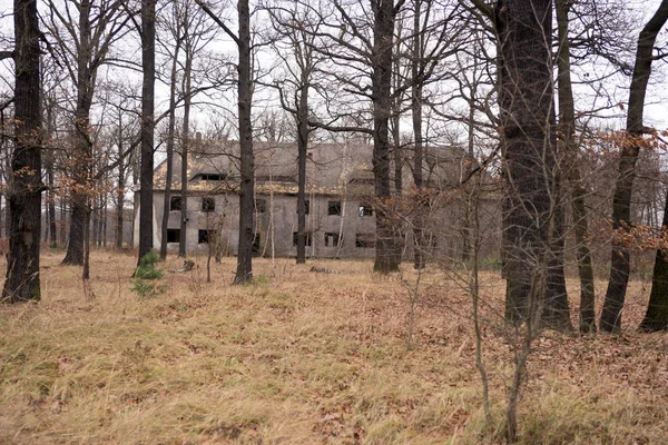 暗い森の中の古い廃屋 — ストック写真