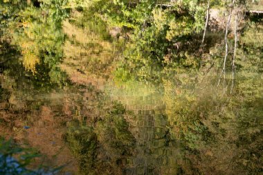 Ağaçlar gölde yansıması Güz