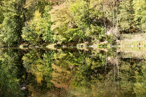 Відображення Дерев Озері Восени — стокове фото