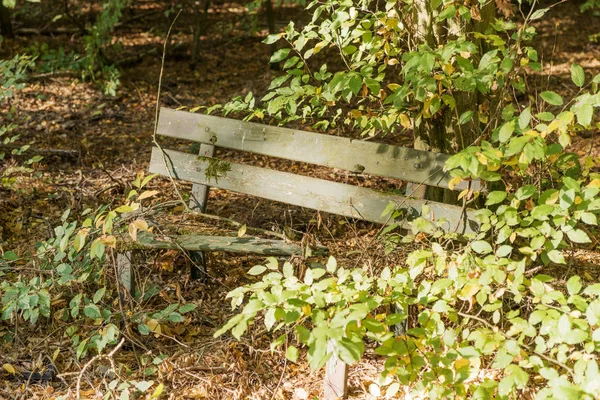 Trasiga Träbänk Skogen För Turister — Stockfoto