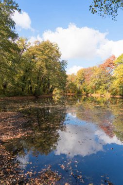 Sonbahar manzara. Su birikintisi içinde renkli ağaçlar yansıması