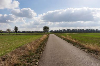 Düz asfalt yol. Turn sağ veya sol