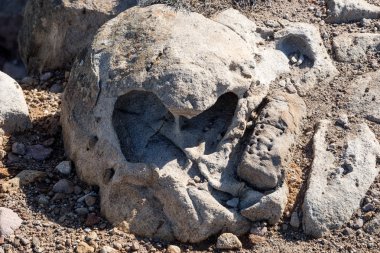 Delikli büyük bir taş closeup