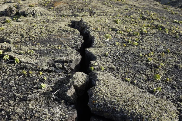 Cracked Earth Timanfaya National Park Lanzarote Island — Stock Photo, Image