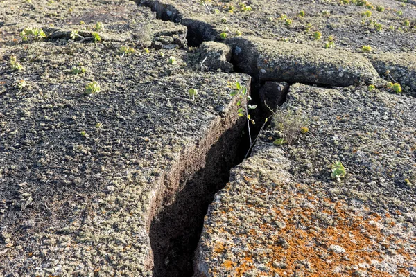 Cracked Earth Timanfaya National Park Lanzarote Island — Stock Photo, Image