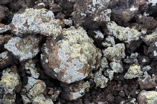 Pedras Lava Com Líquen Parque Nacional Timanfaya Lanzarote Ilhas Canárias — Fotografia de Stock