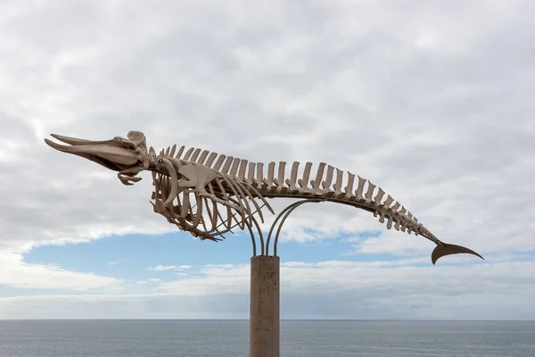 Fischskelettdenkmal Der Küste Der Nähe Von Cotillo Fuerteventura Kanarische Inseln — Stockfoto