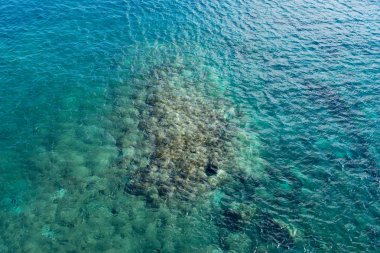 Turkuaz deniz arka plan, suyun içinden deniz dibinin taşı görülür