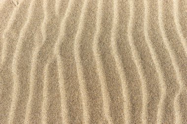 Sahilde kum. Sandy beach için arka plan