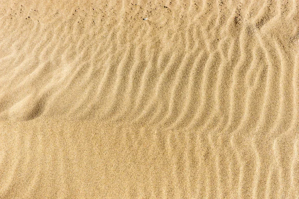 Песок Пляже Песчаный Пляж Фона — стоковое фото