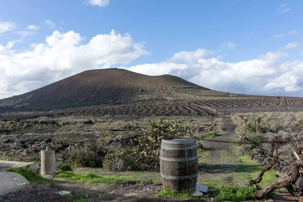 Barrica Vino Madera Entrada Del Viñedo Lanzarote Islas Canarias España — Foto de Stock