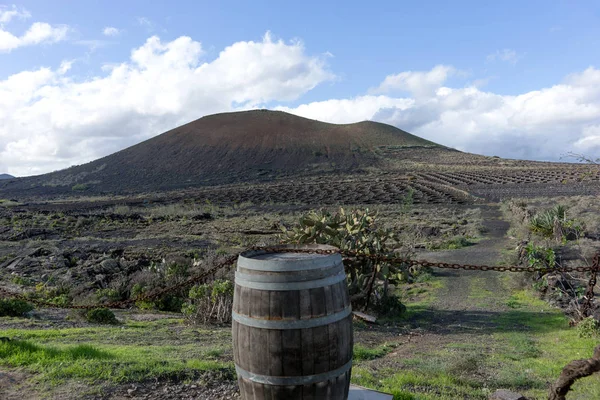 Houten Wijn Vat Bij Ingang Van Wijngaard Lanzarote Canarische Eilanden — Stockfoto