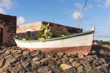 Kaktüsler bitki ile eski ahşap balıkçı teknesi. Fuerteventura. Kanarya Adaları. İspanya