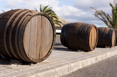 Büyük ahşap şarap fıçıları bağ girişinde. Lanzarote. Kanarya Adaları. İspanya