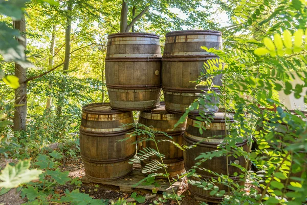 Old wooden barrels with iron rims in the forest