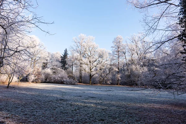 Winterlandschaft Winterwunderland Mit Wald Schneebedeckten Winterbäumen — Stockfoto