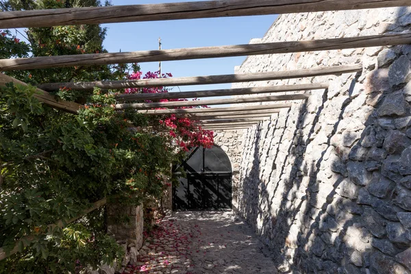 Bir Ahşap Pergola Mor Çiçekler Begonvil Santorini Yunanistan — Stok fotoğraf