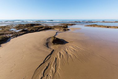 Yaz aylarında kumsal izlemeler