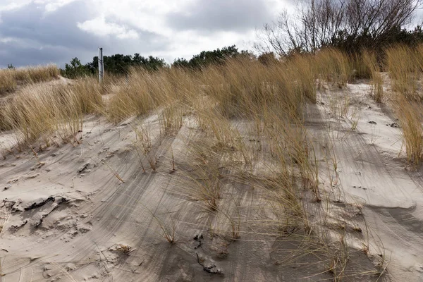 Sandstrand Mit Dünen Und Gras Natur Wilde Küste — Stockfoto
