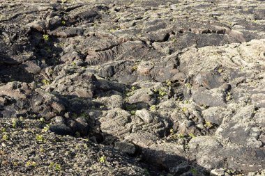 Dondurulmuş lav yüzeyi. Dondurulmuş lav arka planı