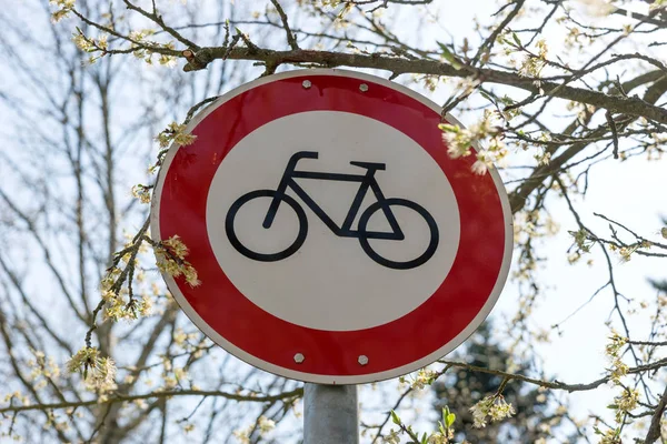 Segnale Avvertimento Traffico Biciclette Vietato Nel Parco — Foto Stock