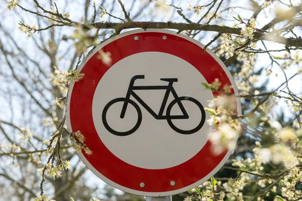 Segnale Avvertimento Traffico Biciclette Vietato Nel Parco — Foto Stock