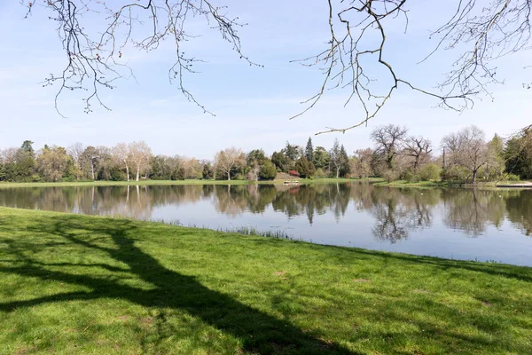 Relajante Jardín Botánico Con Lago Paisaje Verde Primavera — Foto de Stock