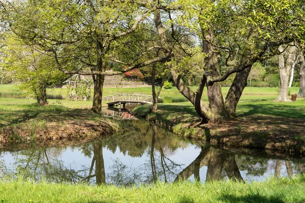 Canal Pequeno Com Água Corrente Árvores Grandes Grama Verde Primavera — Fotografia de Stock