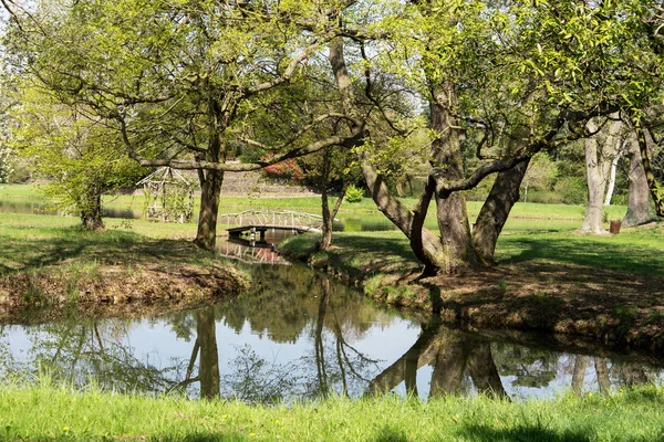 Canal Pequeno Com Água Corrente Árvores Grandes Grama Verde Primavera — Fotografia de Stock