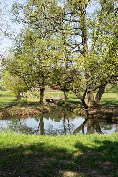 春の水 大きな木々 緑の草を持つ小さな運河 — ストック写真