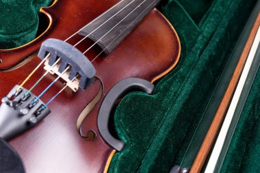 Klasik keman yeşil kadife ile bavul yatıyor