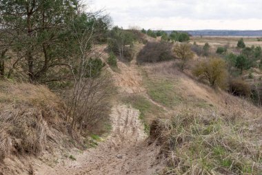 İlkbaharda ağaçlar ve tepeler ile soyut manzara