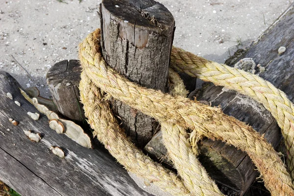 Old Rope Tied Dark Wood Stump — Stock Photo, Image