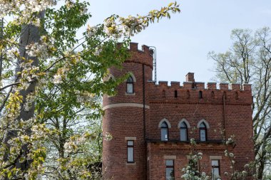 Parktaki Kızıl Tuğla kulesi. Ağaç ön planda