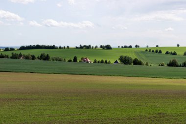 Ağaçlar, alanlar ve tepeler ile güzel yaz manzara. Saksonya. Almanya