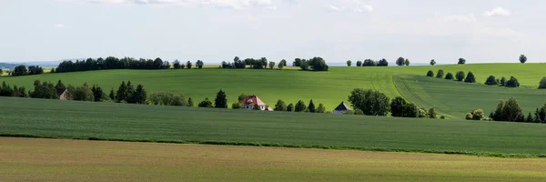 Beautiful Summer Landscape Trees Fields Hills Saxony Germany — Stock Photo, Image