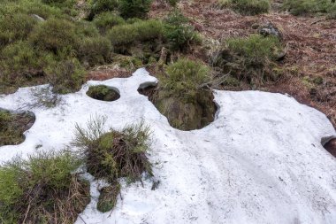 Çek Krkonose ormanında son kar