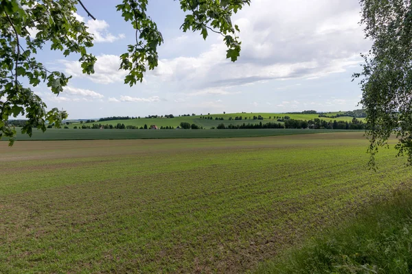 Summer Landscape Trees Fields Hills Saxony Germany — Stock Photo, Image