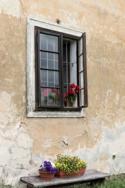 Eski bir binanın çiçekleri ile yarım açık pencere