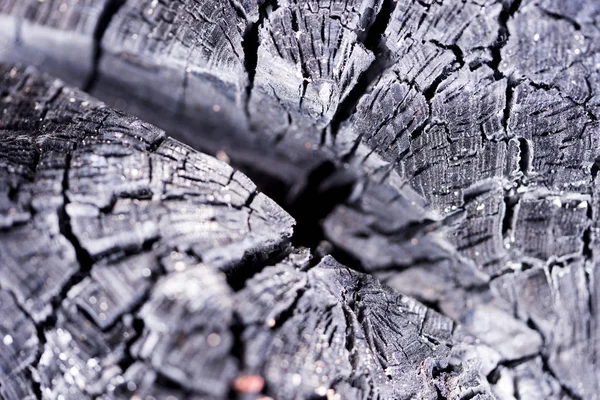 Fondo Nero Legno Bruciato Superficie Del Carbone Struttura Arborea Carbonizzata — Foto Stock