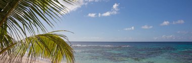 Guadeloupe palmiye ağacı ile tropikal plajdan Panorama, Karayipler Denizi
