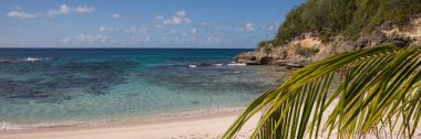 Guadeloupe palmiye ağacı ile tropikal plajdan Panorama, Karayipler Denizi