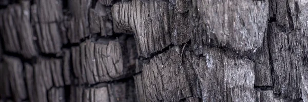 Panoramic black coal background. Wood charcoal texture. Burnt tree