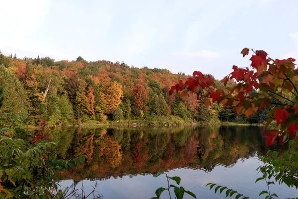 Herbst Bunte Bäume Die Der Wasseroberfläche Des Sees Reflektieren Indischer — Stockfoto