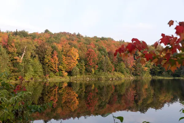 Herbst Bunte Bäume Die Der Wasseroberfläche Des Sees Reflektieren Indischer — Stockfoto