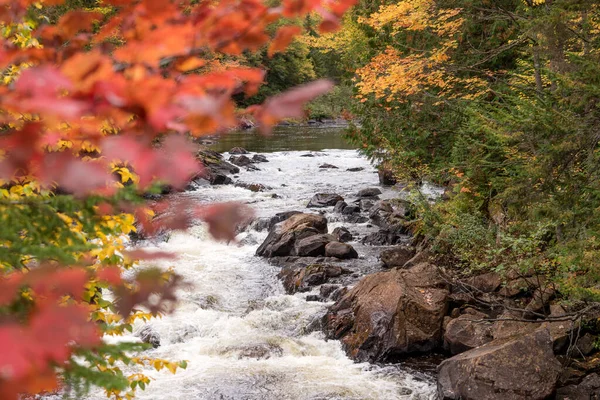 Mont Tremblant Ulusal Parkı 'ndaki Croche şelalesinin manzarası. Hint Yazı. Quebec 'te. Kanada