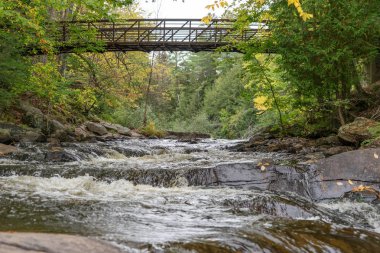 Arrowhead Park 'ta küçük bir şelale. Hint Yazı. Ontario. Kanada