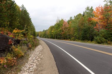 Kanada 'daki Mauricie Ulusal Parkı' nda boş bir cadde. Quebec