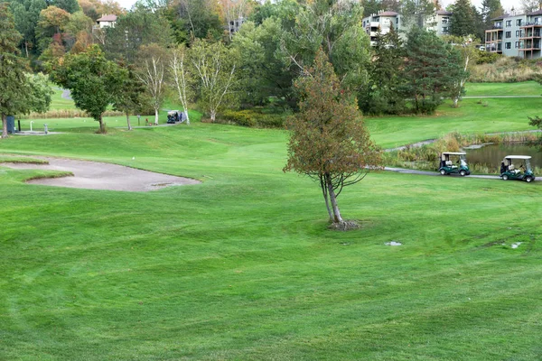 Zwei Golfwagen Auf Dem Gepflegten Golfplatz — Stockfoto